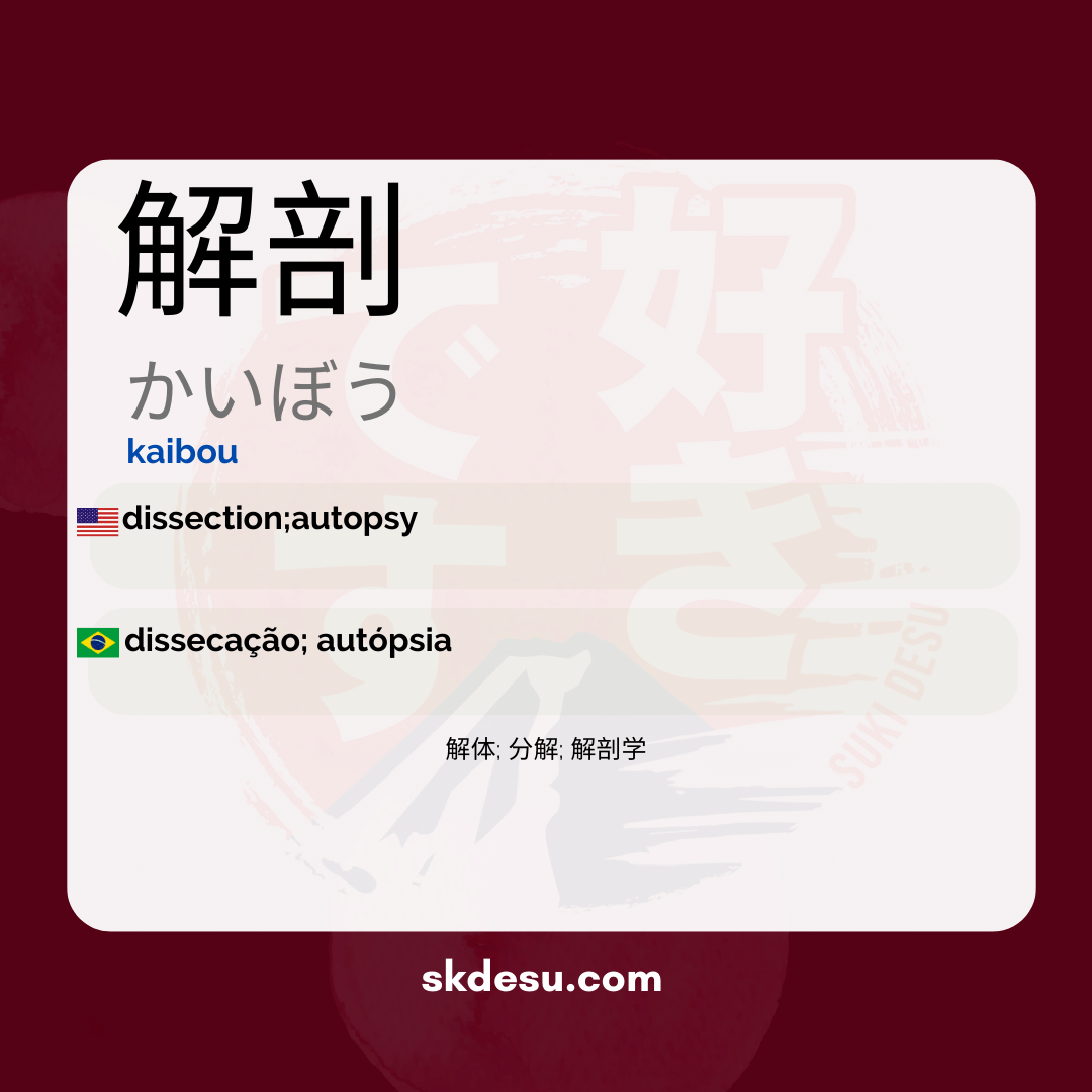 解剖
